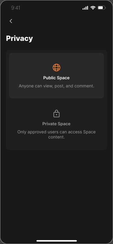 Space privacy settings with Public Space and Private Space descriptions.